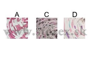 T- SHIRT YARN - priadza